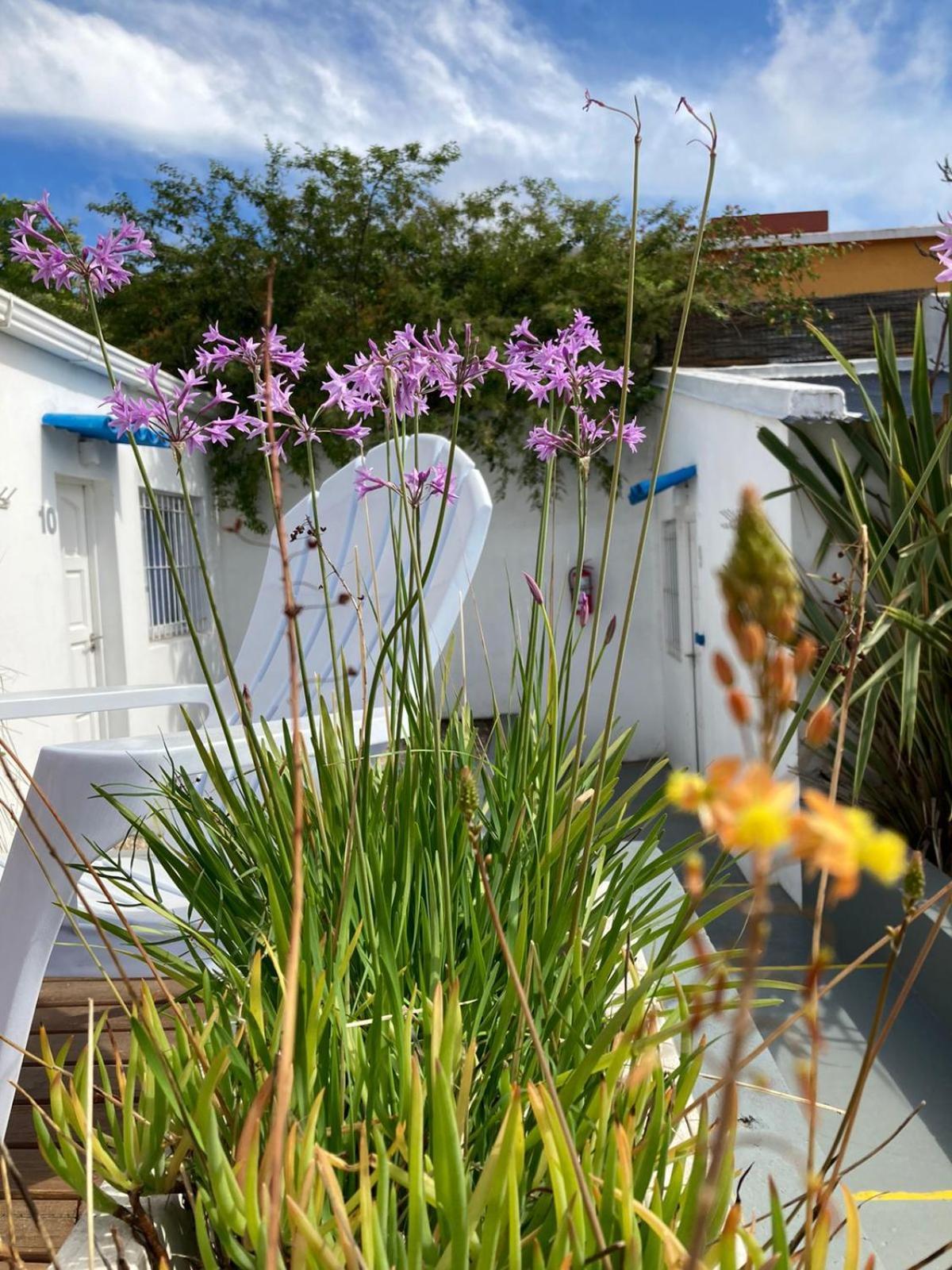 Hostel Hola Ola Villa Gesell Kültér fotó